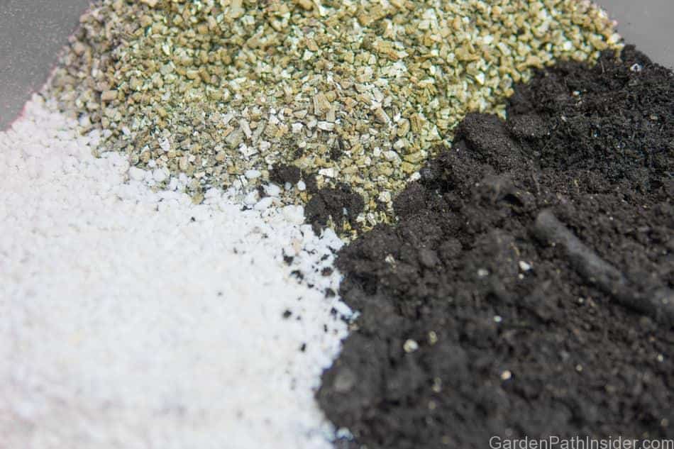 Pumice vs Vermiculite-How they Compare - Agri Thai
